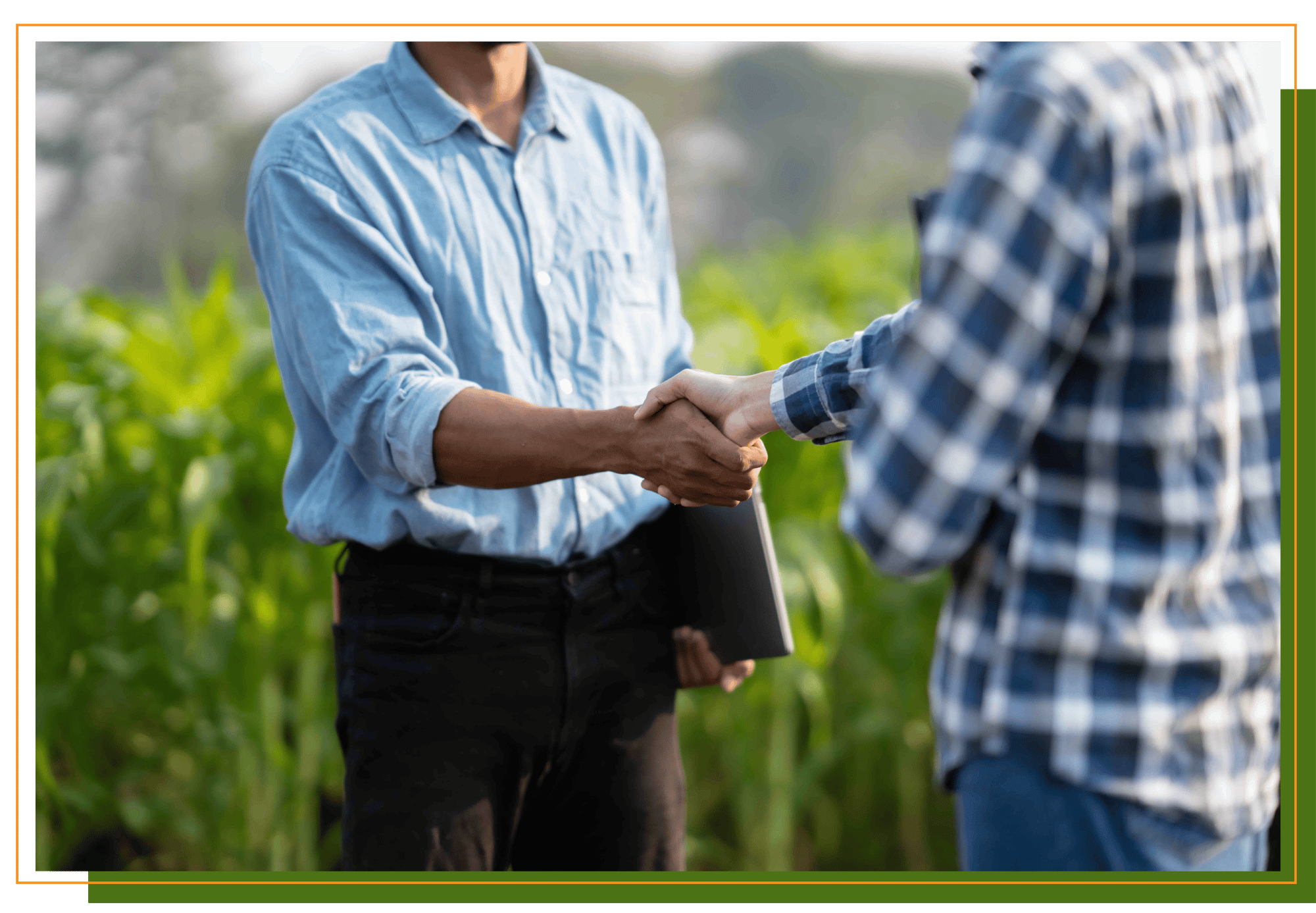 Hedgerow Software Shaking Hands Edited Hedgerow Software Shaking Hands Edited