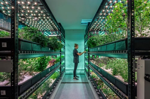 Vertical farm